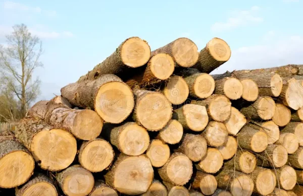 timber-log-stack-24284543